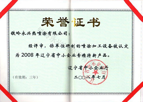 2008年遼寧省中小企業(yè)專精特新產品