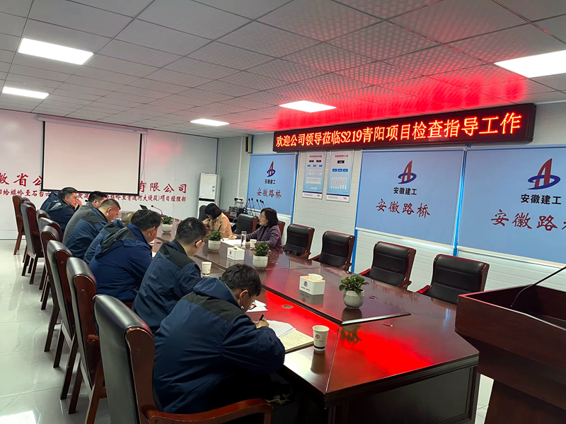 公司黨委委員、紀(jì)委書記王鵬到S219青陽改建項(xiàng)目調(diào)研指導(dǎo)工作